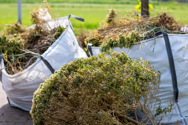 Best Junk Hauling Services  in Sudley, VA